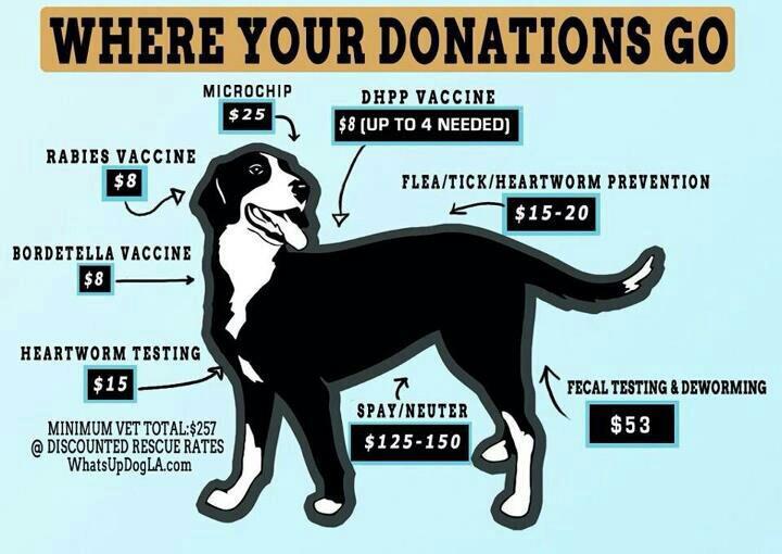 Donations - Alabama Angels Dog Rescue